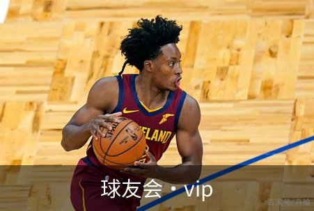 关于球友会·vip
