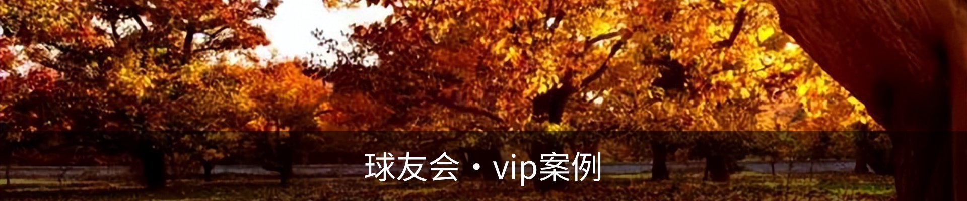球友会·vip案例